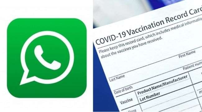 How to download your Vaccination Certificate directly on Whatsapp in 2022?